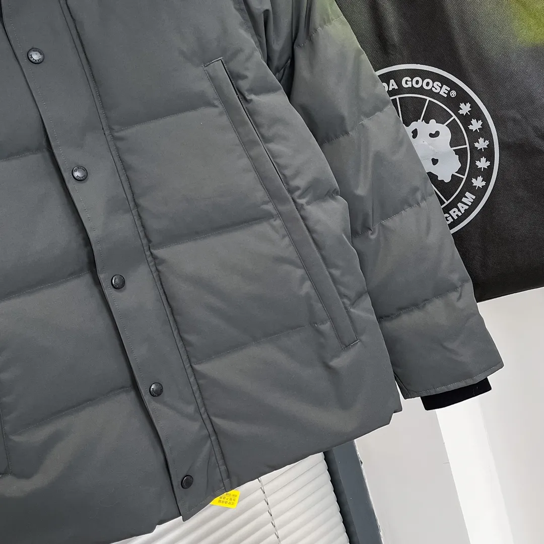 P720 29 models - graphite gray